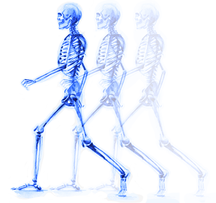 Ortopedia e Traumatologia